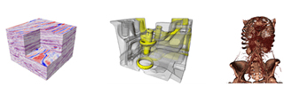 volume viz